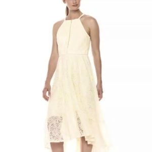 Vince Camuto dresses Sz 2 Lace overlay Halter High-Low Cream Dress ruffle Trim